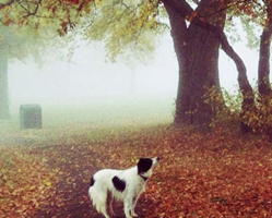 Enlightenment Economics Blog